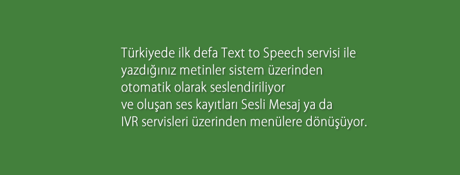 Text to Speech