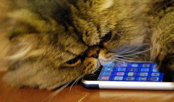 9 canlı teknoloji sms
